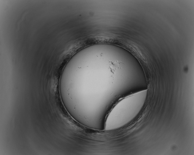 X0000100770458200806190937