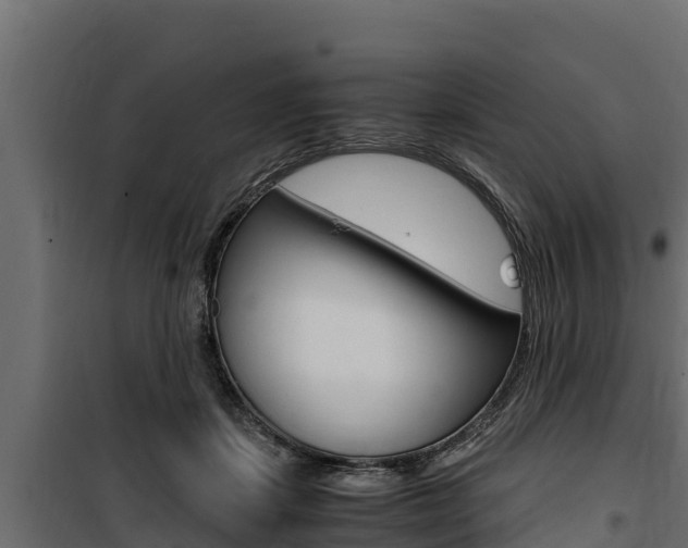 X0000100770459200806190937