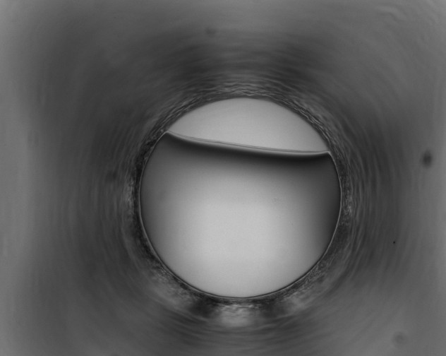 X0000100770461200806190937