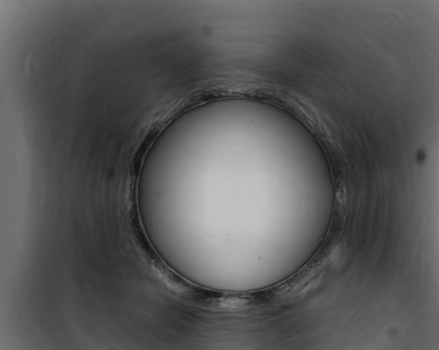X0000100770462200806190937