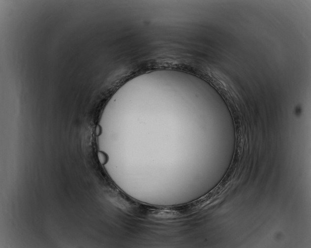 X0000100770463200806190937