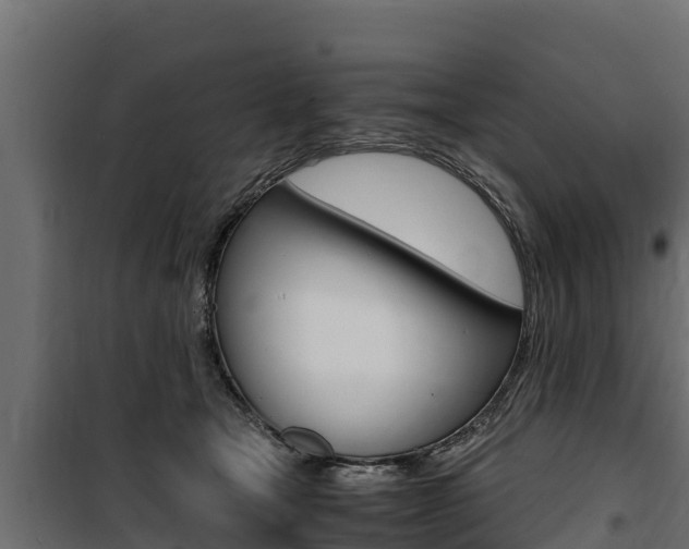 X0000100770465200806190937