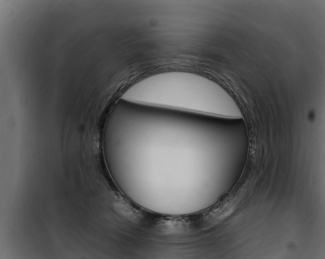 X0000100770466200806190937