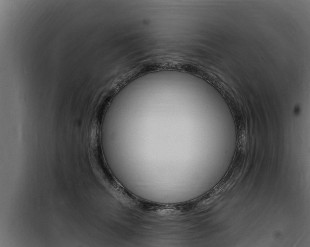 X0000100770468200806190937