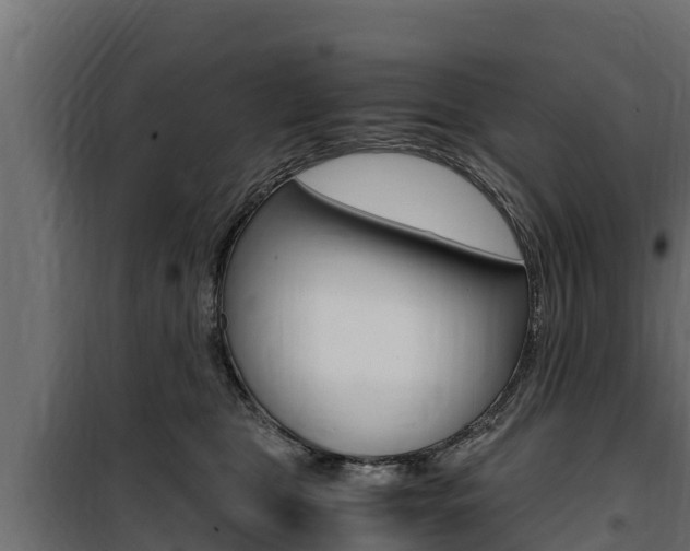 X0000100770469200806190937