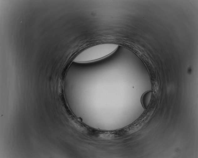 X0000100770470200806190937