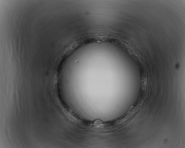 X0000100770472200806190937