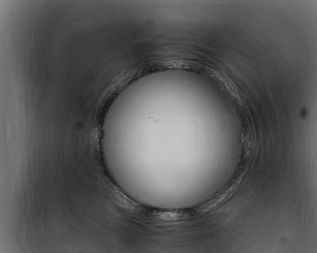 X0000100770473200806190937