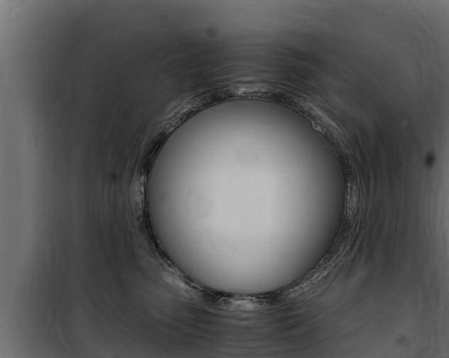 X0000100770475200806190937