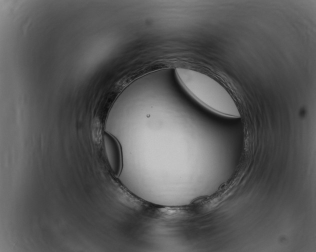 X0000100770477200806190937
