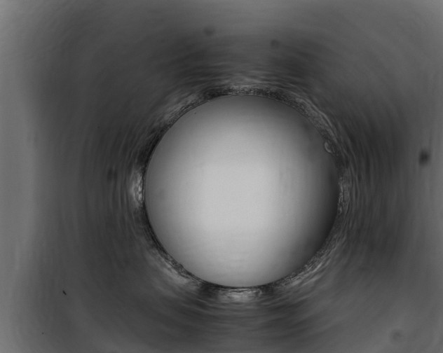 X0000100770479200806190937