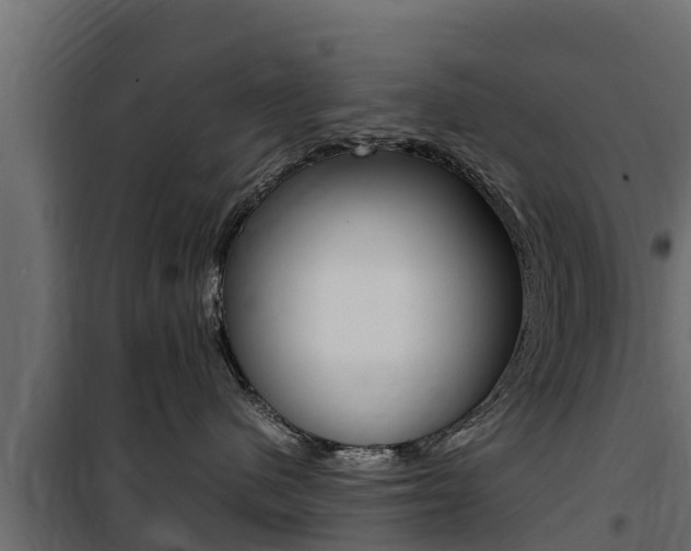 X0000100770480200806190937