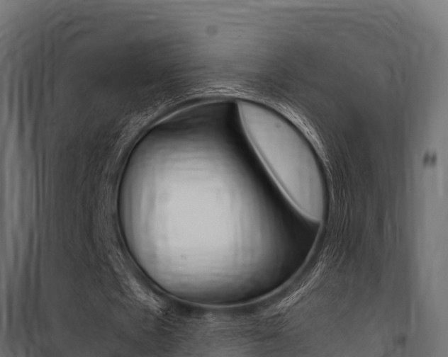 X0000100770481200806190936
