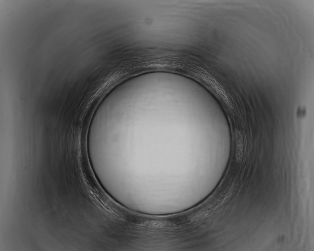 X0000100770482200806190936