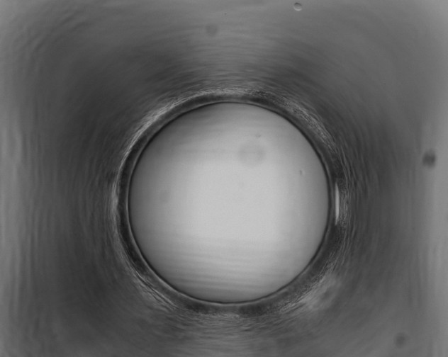X0000100770483200806190936