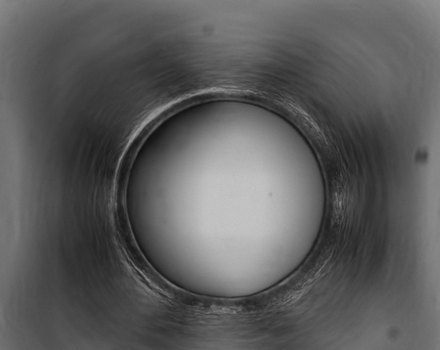 X0000100770484200806190936