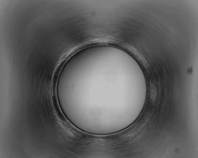 X0000100770486200806190936