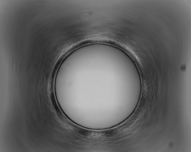 X0000100770487200806190936