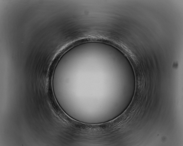 X0000100770488200806190936