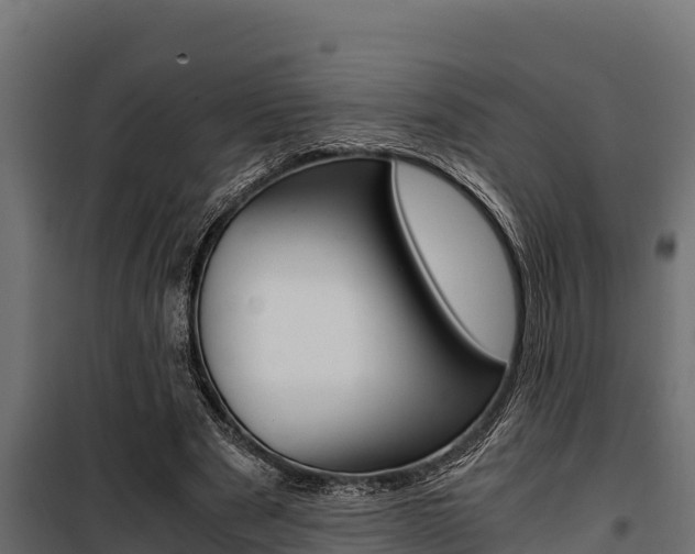 X0000100770489200806190936