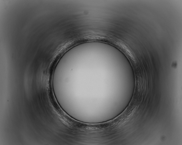X0000100770490200806190936