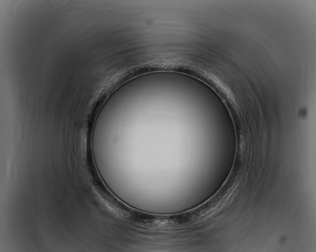 X0000100770493200806190936
