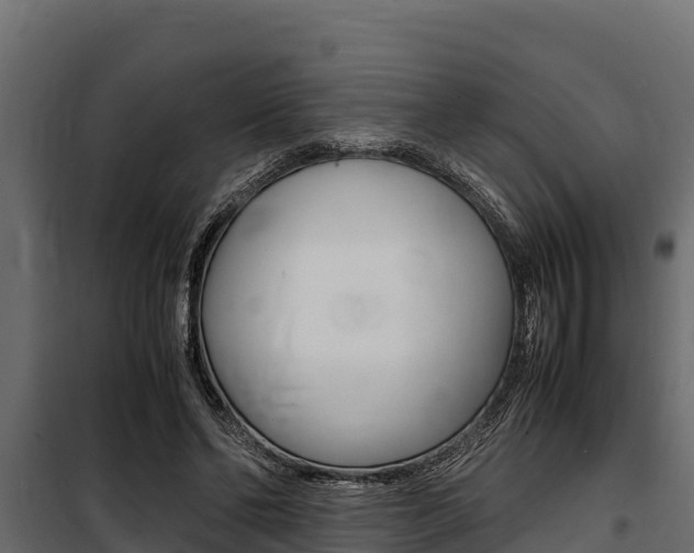 X0000100770494200806190936