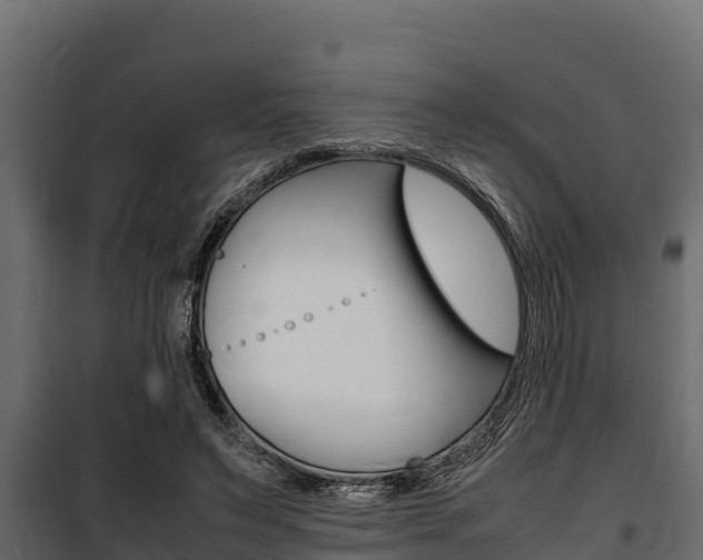 X0000100770495200806190936