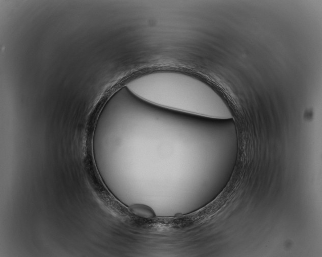 X0000100770496200806190936