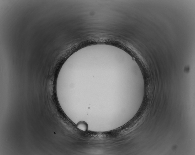 X0000100770497200806190936
