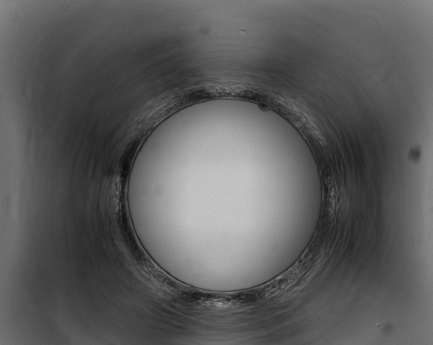 X0000100770498200806190936