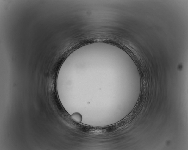 X0000100770499200806190936