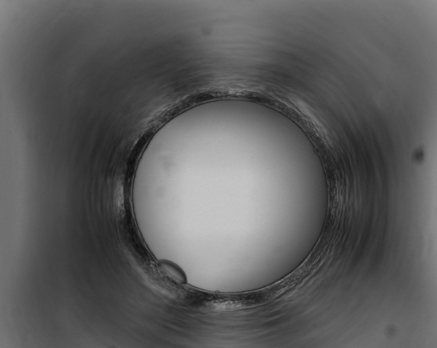X0000100770500200806190936