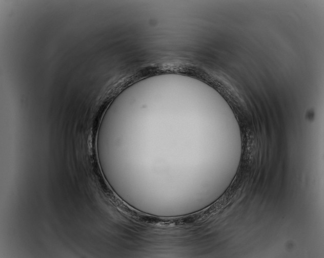 X0000100770502200806190936
