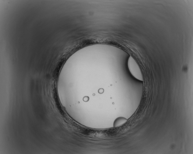 X0000100770503200806190936