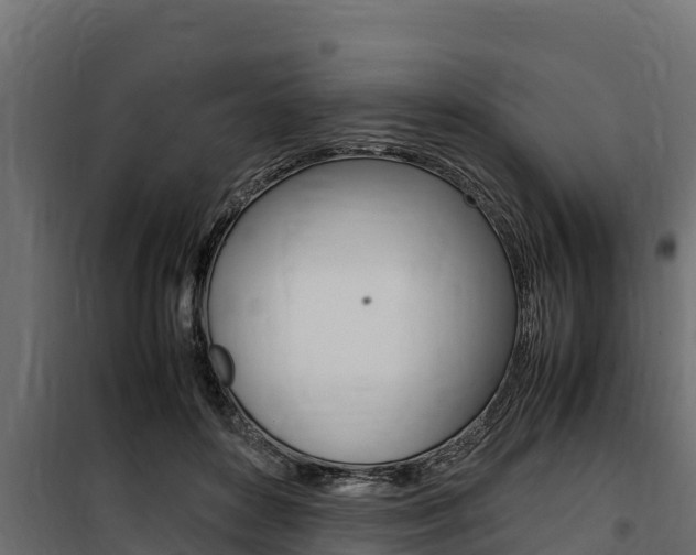 X0000100770504200806190936