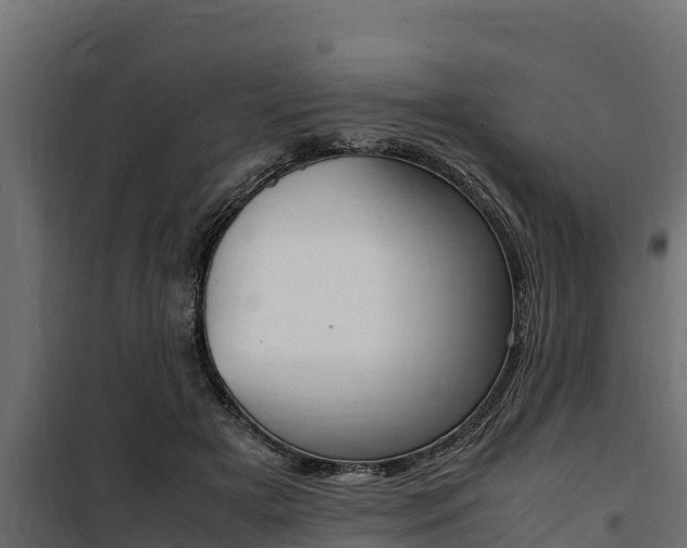 X0000100770505200806190936