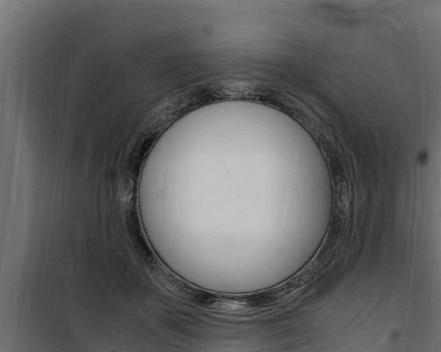 X0000100770507200806190936