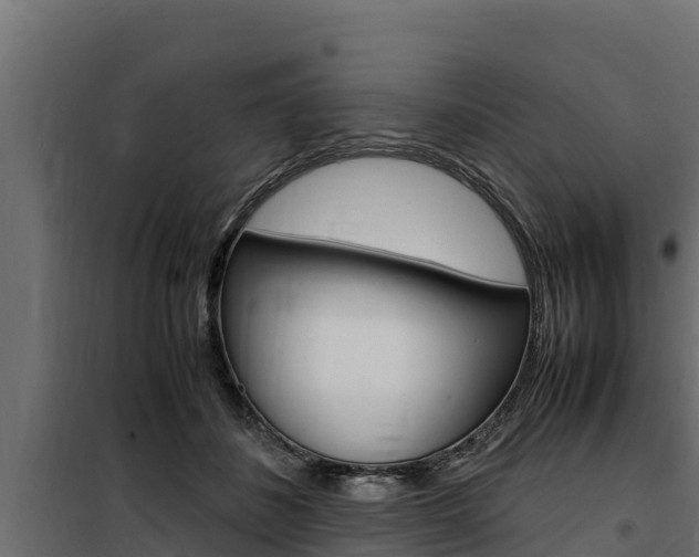 X0000100770508200806190936
