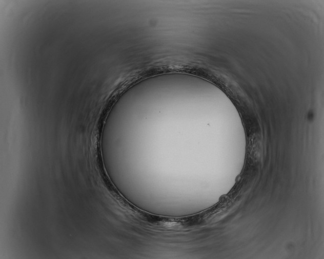 X0000100770509200806190936