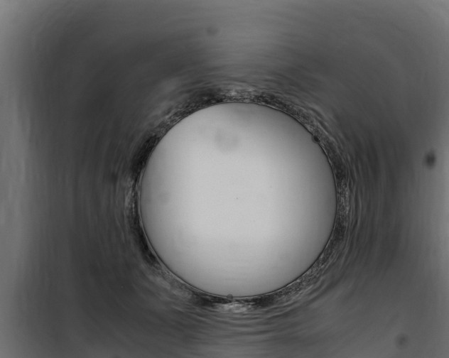X0000100770511200806190936