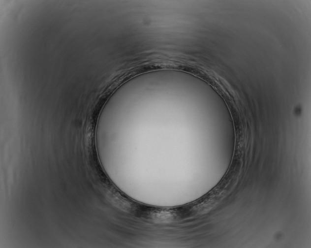 X0000100770513200806190936