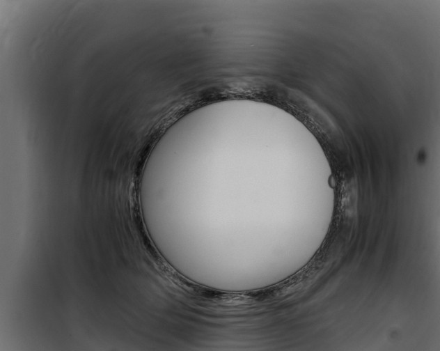 X0000100770514200806190936