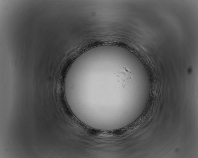 X0000100770515200806190936