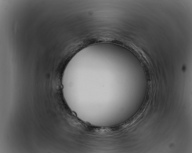 X0000100770517200806190936