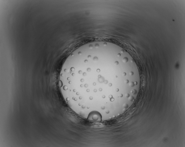 X0000100770519200806190936