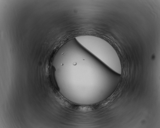 X0000100770520200806190936