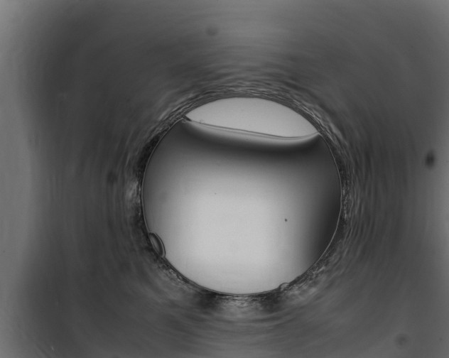 X0000100770521200806190936
