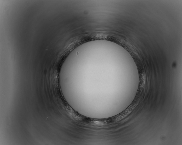 X0000100770522200806190936