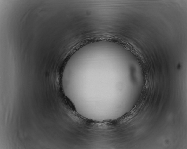X0000100770524200806190936